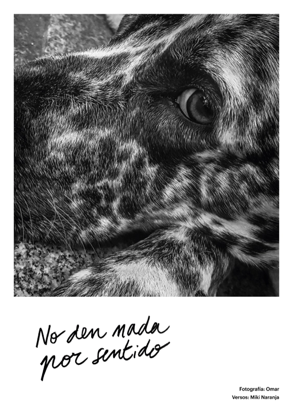 La calle desde la mirada de una PSH